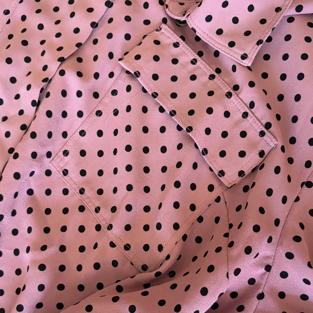 Polka Dot Button-Front Blouse - Pink - Picture 3 of 10